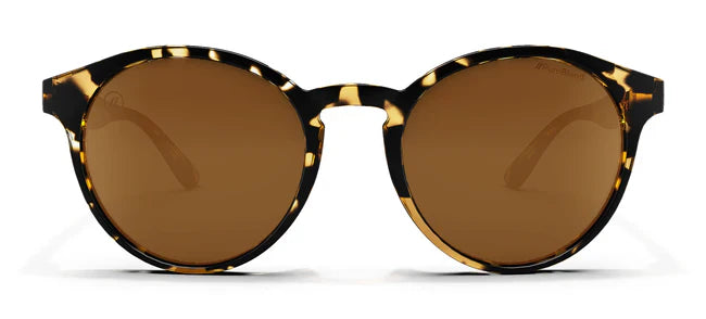Blenders Coastal X2 Sunglasses