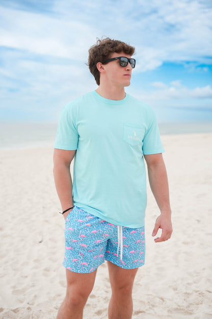 Chubbies Classic Lined Swim Short 5.5"