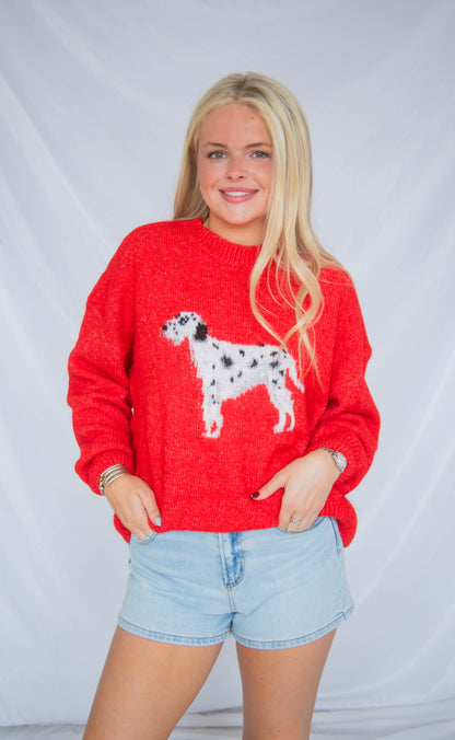 dalmatian sweater