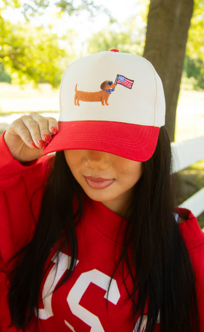 charlie southern: american dog trucker