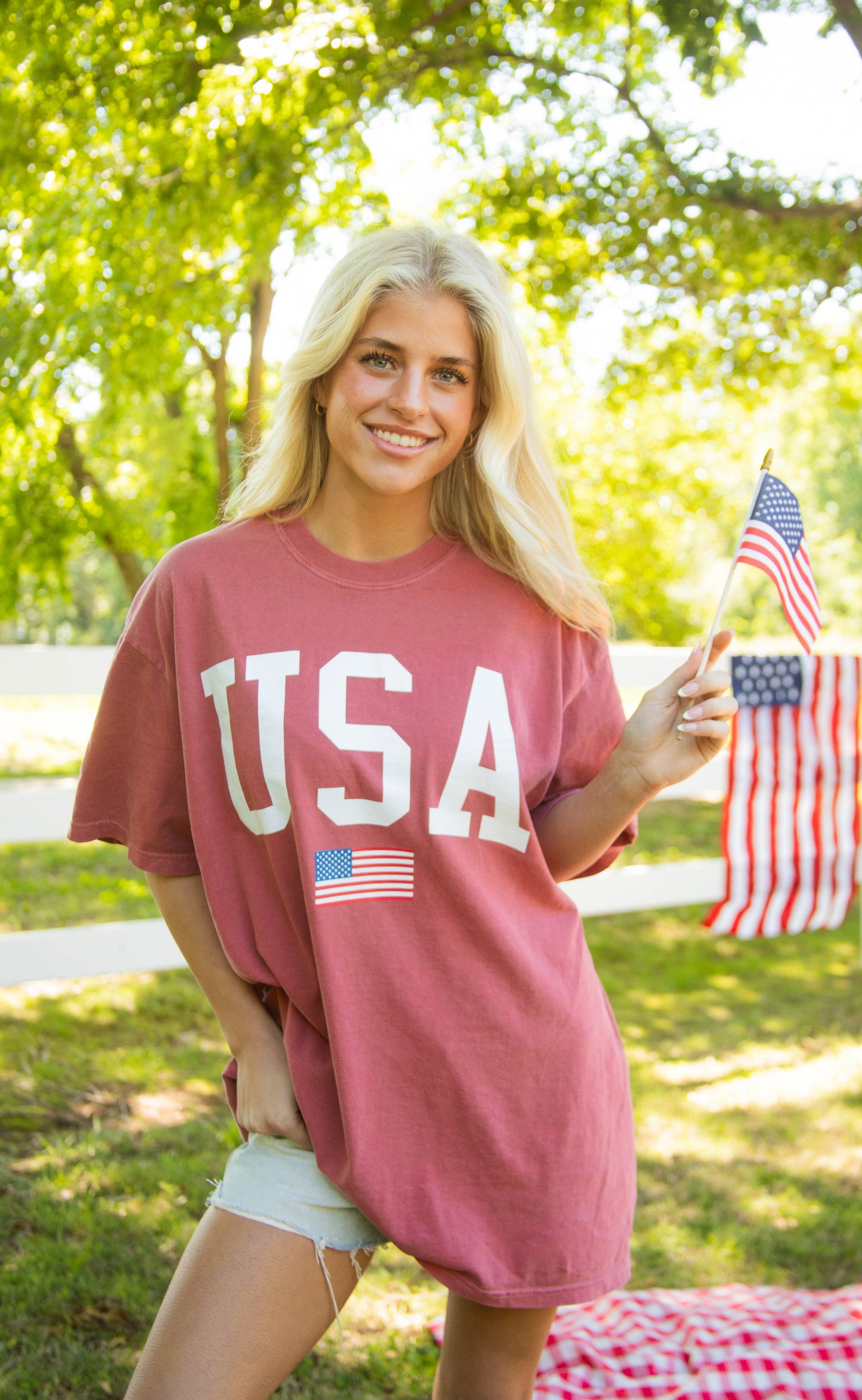 charlie southern: usa flag tee