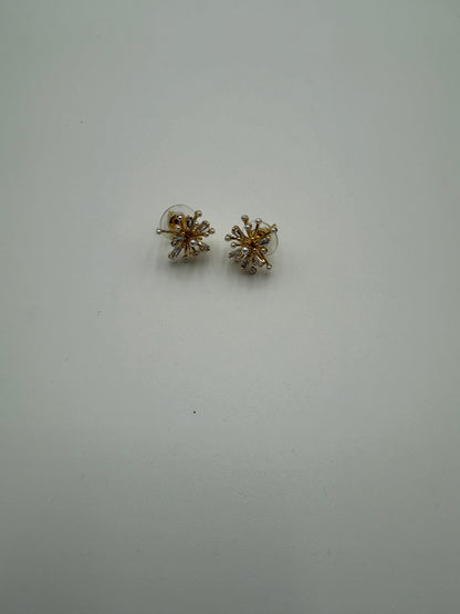 Burst Earrings