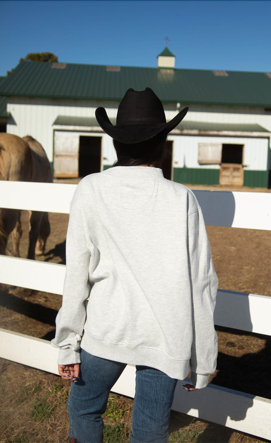 charlie southern: texas heart mockneck