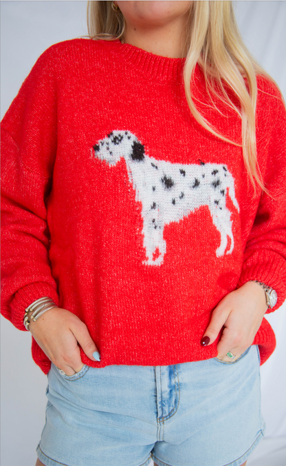 dalmatian sweater